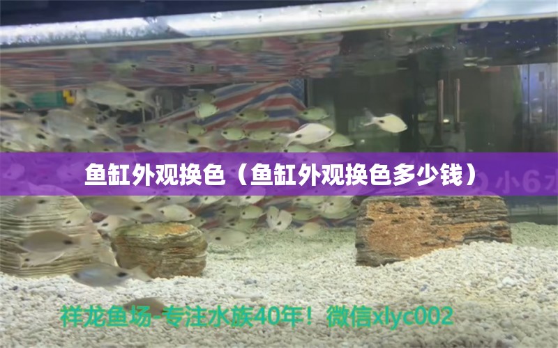 魚缸外觀換色（魚缸外觀換色多少錢）