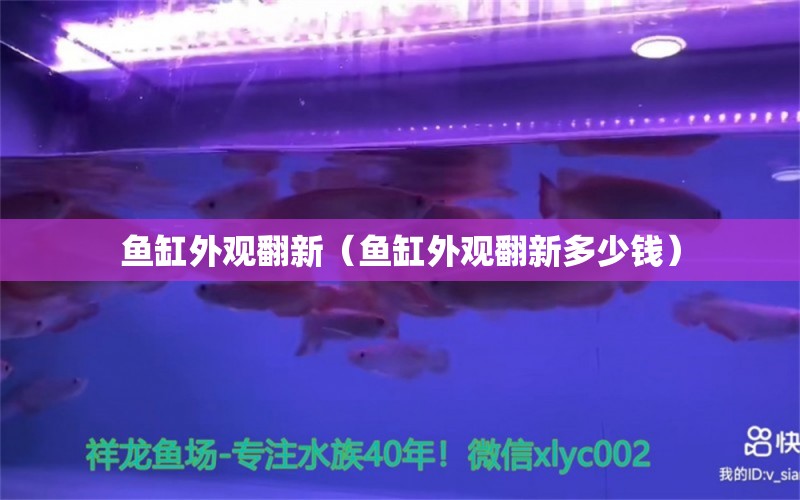 魚(yú)缸外觀翻新（魚(yú)缸外觀翻新多少錢(qián)） 祥龍水族醫(yī)院