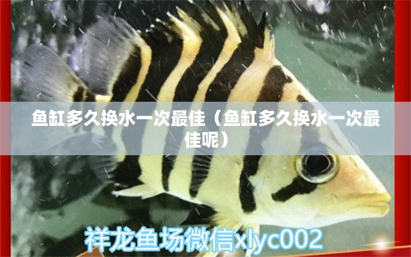 魚缸多久換水一次最佳（魚缸多久換水一次最佳呢） 海水魚（海水魚批發(fā)）