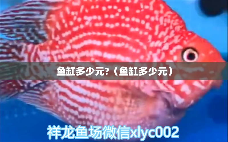 魚缸多少元?（魚缸多少元） 祥龍水族醫(yī)院