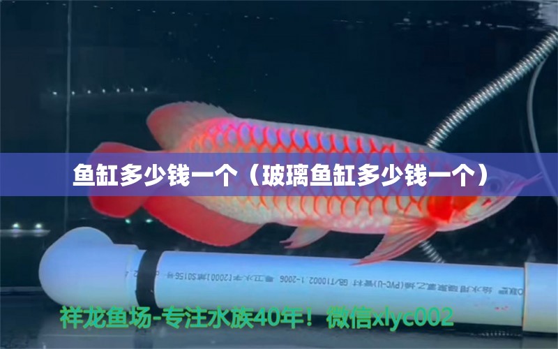 魚缸多少錢一個（玻璃魚缸多少錢一個） 祥龍水族醫(yī)院