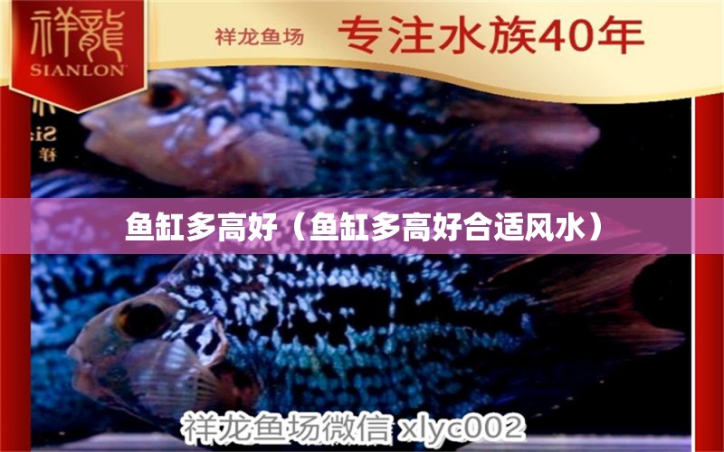 魚缸多高好（魚缸多高好合適風(fēng)水）