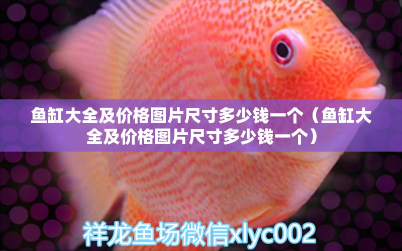 魚缸大全及價格圖片尺寸多少錢一個（魚缸大全及價格圖片尺寸多少錢一個）