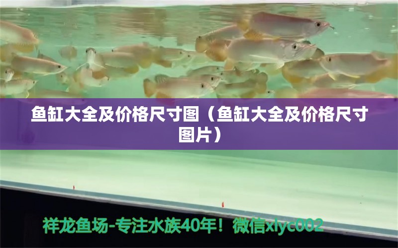 魚缸大全及價(jià)格尺寸圖（魚缸大全及價(jià)格尺寸圖片） 和尚魚