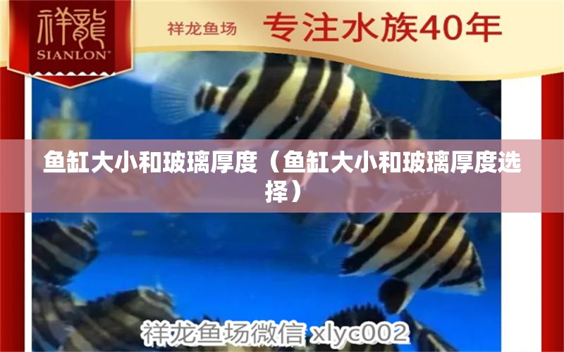 魚(yú)缸大小和玻璃厚度（魚(yú)缸大小和玻璃厚度選擇）