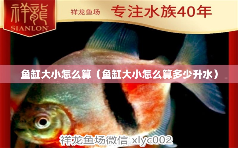 魚缸大小怎么算（魚缸大小怎么算多少升水）