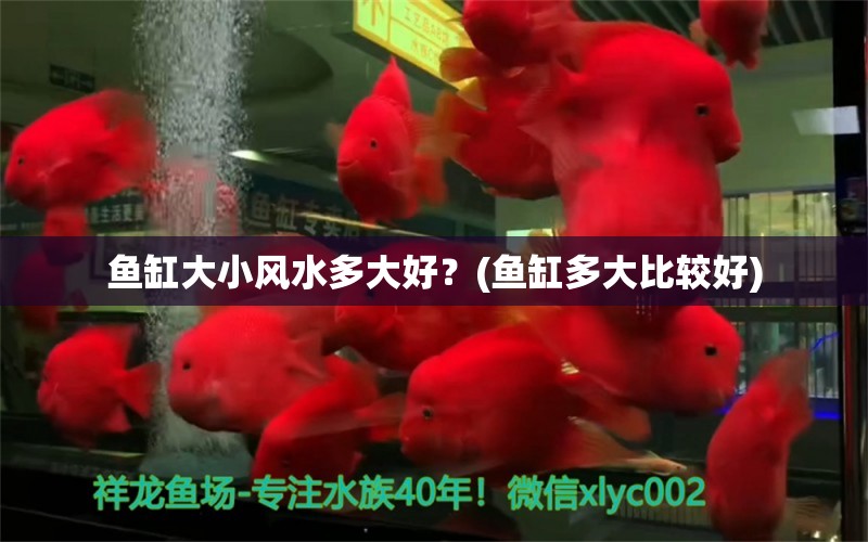 魚缸大小風(fēng)水多大好？(魚缸多大比較好) 魚缸風(fēng)水