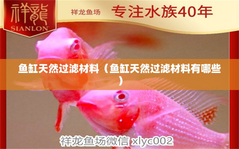 魚缸天然過濾材料（魚缸天然過濾材料有哪些）