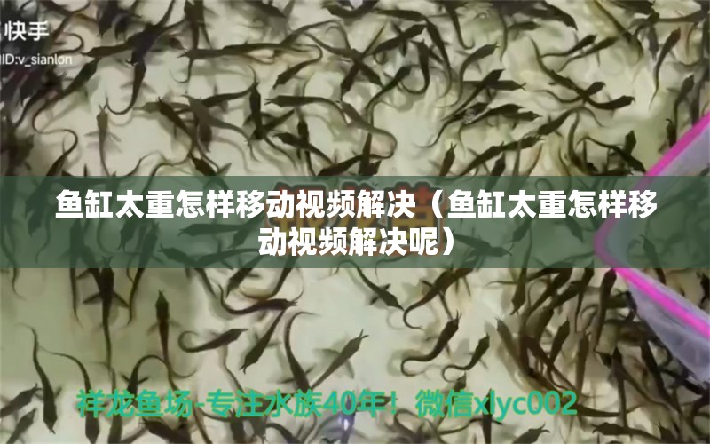 魚(yú)缸太重怎樣移動(dòng)視頻解決（魚(yú)缸太重怎樣移動(dòng)視頻解決呢） 其他品牌魚(yú)缸