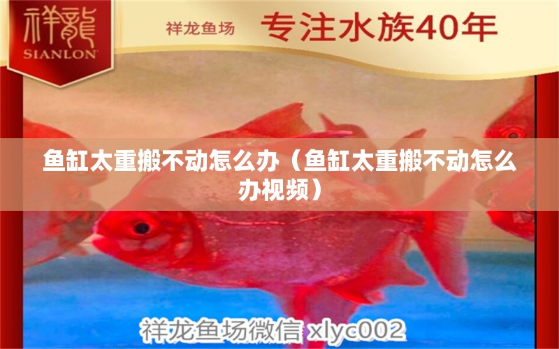 魚缸太重搬不動怎么辦（魚缸太重搬不動怎么辦視頻）