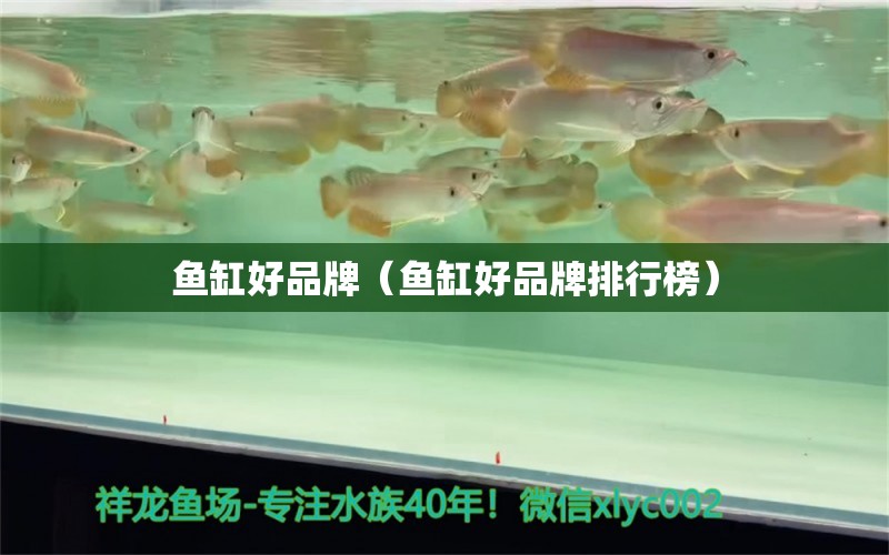 魚缸好品牌（魚缸好品牌排行榜） 其他品牌魚缸