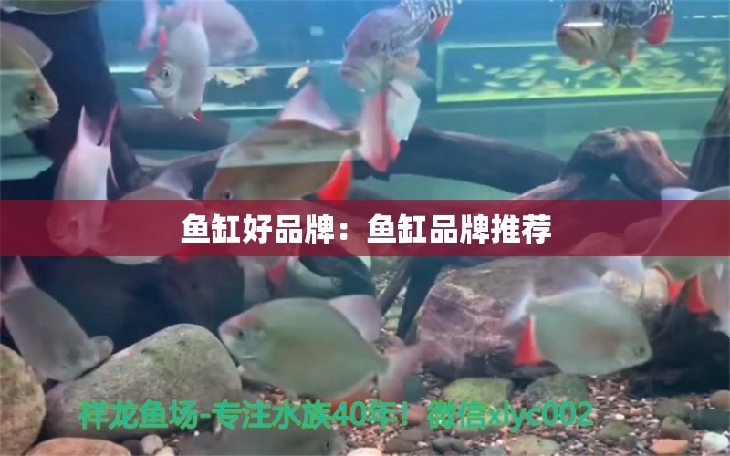 魚缸好品牌：魚缸品牌推薦