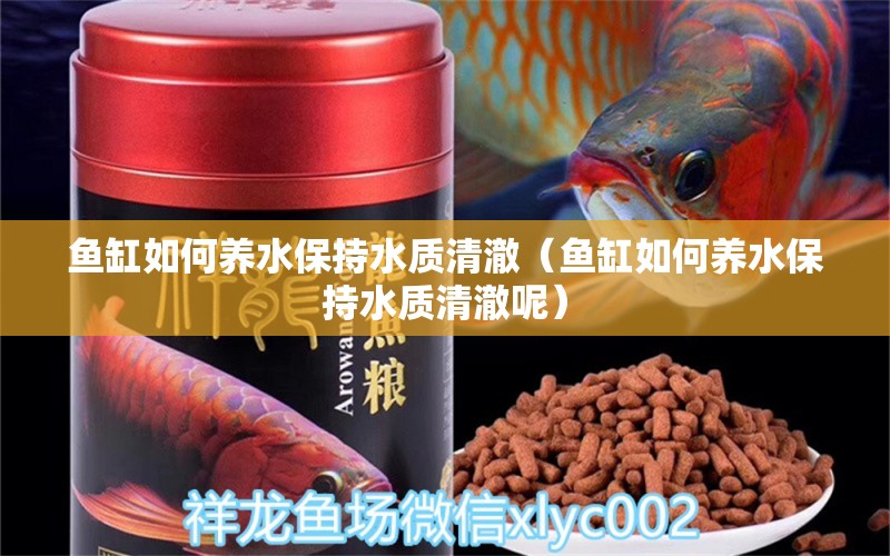 魚缸如何養(yǎng)水保持水質(zhì)清澈（魚缸如何養(yǎng)水保持水質(zhì)清澈呢） 印尼虎苗