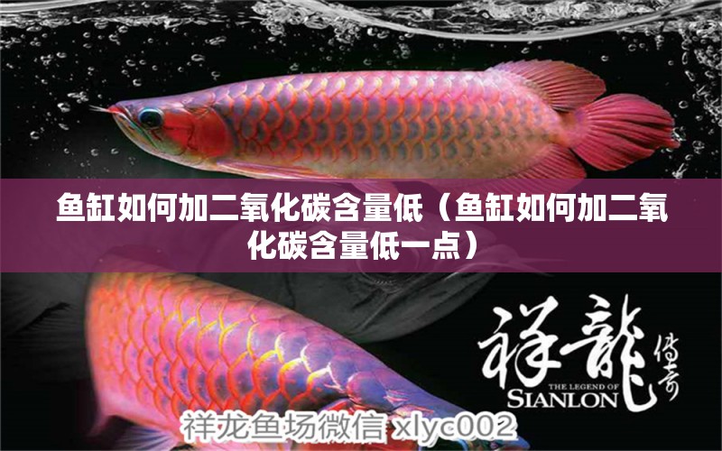 魚缸如何加二氧化碳含量低（魚缸如何加二氧化碳含量低一點） 二氧化碳設備