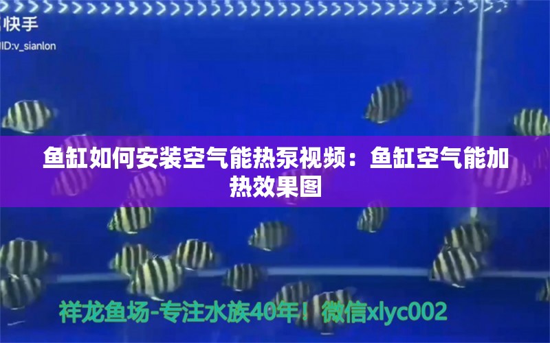 魚缸如何安裝空氣能熱泵視頻：魚缸空氣能加熱效果圖