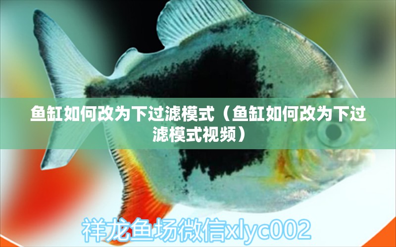 魚缸如何改為下過濾模式（魚缸如何改為下過濾模式視頻） 照明器材