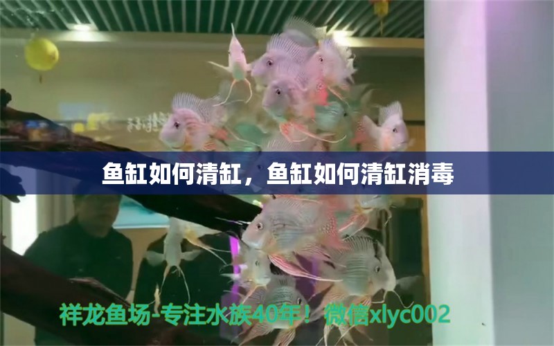 魚缸如何清缸，魚缸如何清缸消毒 魚缸風(fēng)水