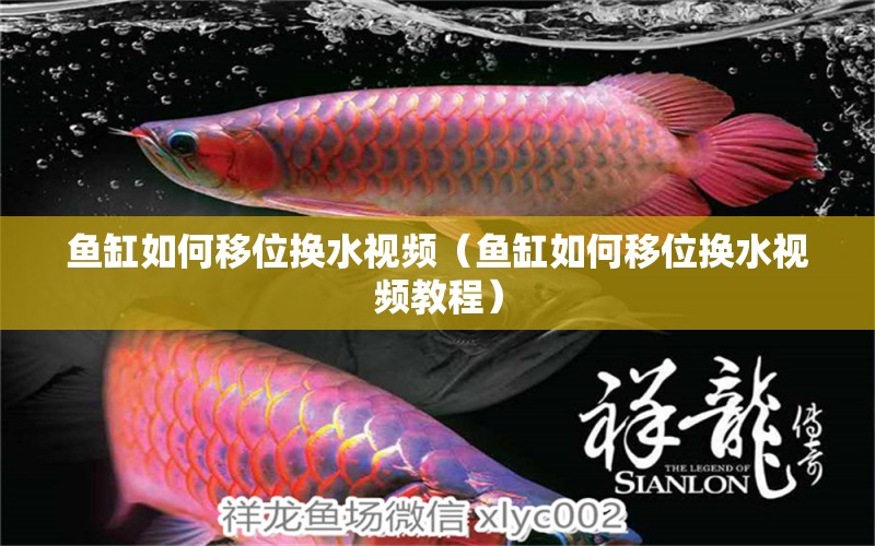 魚缸如何移位換水視頻（魚缸如何移位換水視頻教程） 其他品牌魚缸