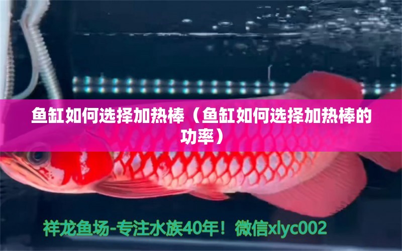 魚缸如何選擇加熱棒（魚缸如何選擇加熱棒的功率）