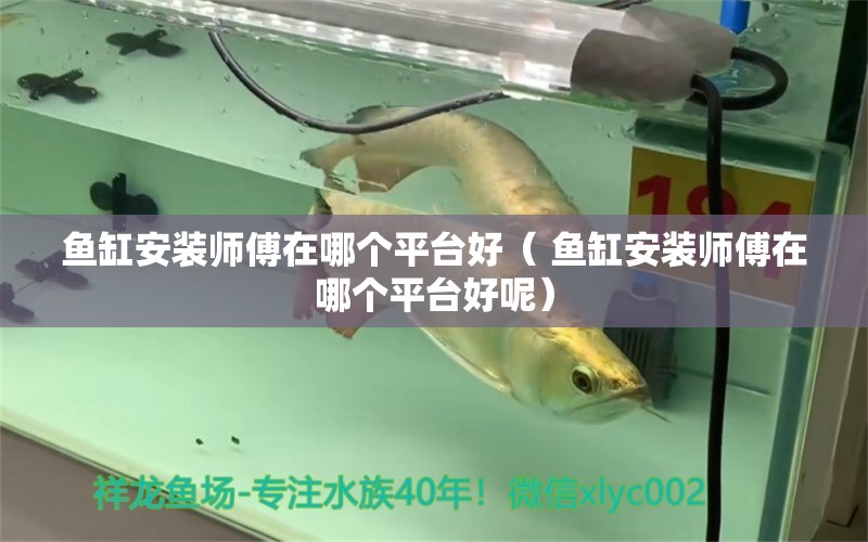 魚缸安裝師傅在哪個(gè)平臺(tái)好（ 魚缸安裝師傅在哪個(gè)平臺(tái)好呢）