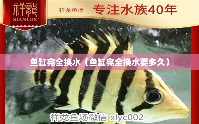 魚缸完全換水（魚缸完全換水要多久） 祥龍水族醫(yī)院