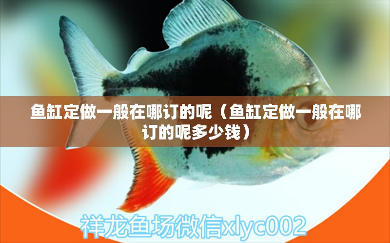 魚缸定做一般在哪訂的呢（魚缸定做一般在哪訂的呢多少錢）