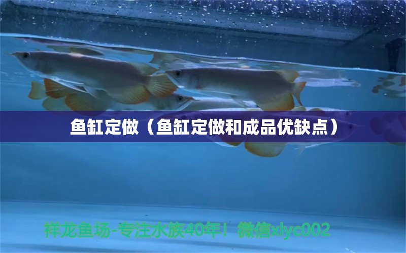 魚缸定做（魚缸定做和成品優(yōu)缺點） 森森魚缸