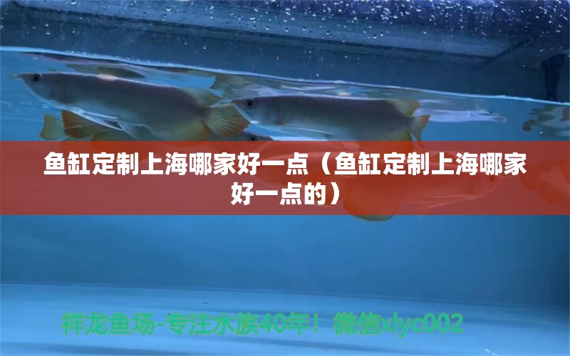 魚缸定制上海哪家好一點(diǎn)（魚缸定制上海哪家好一點(diǎn)的） 觀賞魚市場（混養(yǎng)魚）