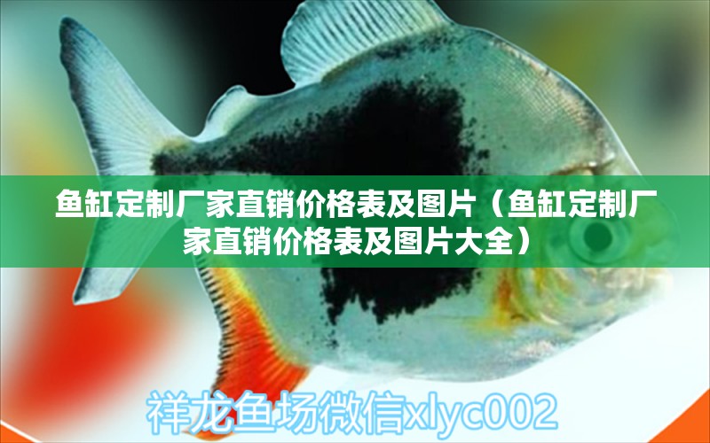 魚缸定制廠家直銷價(jià)格表及圖片（魚缸定制廠家直銷價(jià)格表及圖片大全） 祥龍水族醫(yī)院