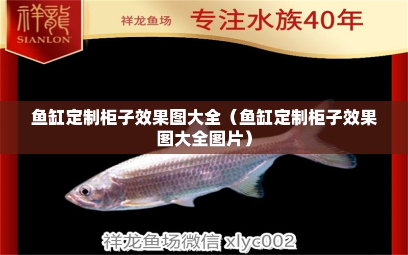 魚缸定制柜子效果圖大全（魚缸定制柜子效果圖大全圖片）