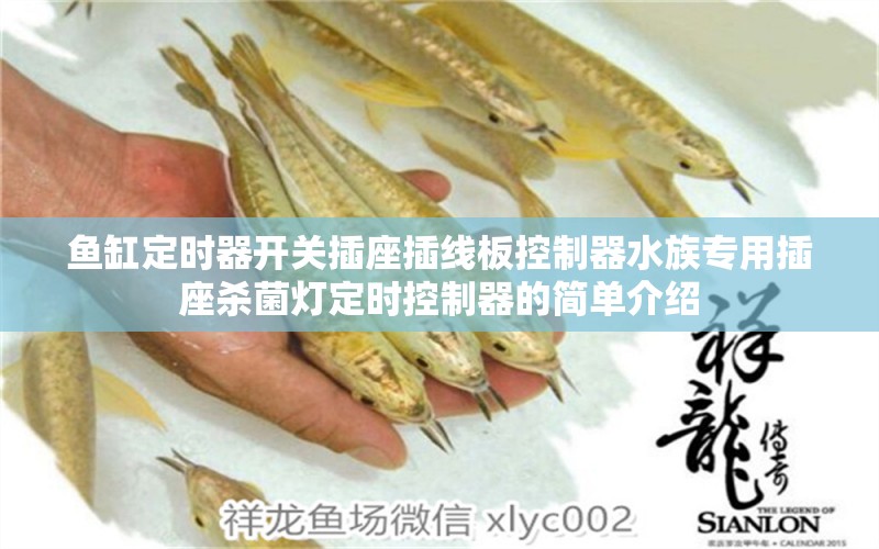 魚缸定時(shí)器開關(guān)插座插線板控制器水族專用插座殺菌燈定時(shí)控制器的簡單介紹 定時(shí)器/自控系統(tǒng) 第1張