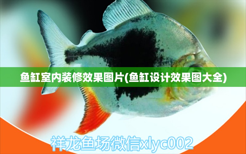 魚缸室內(nèi)裝修效果圖片(魚缸設(shè)計(jì)效果圖大全) 財(cái)神鸚鵡魚