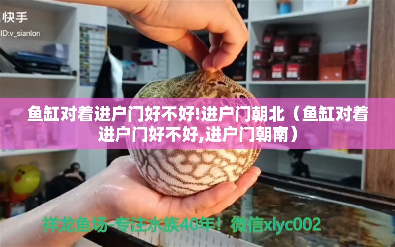 魚缸對著進(jìn)戶門好不好!進(jìn)戶門朝北（魚缸對著進(jìn)戶門好不好,進(jìn)戶門朝南） 祥龍水族醫(yī)院