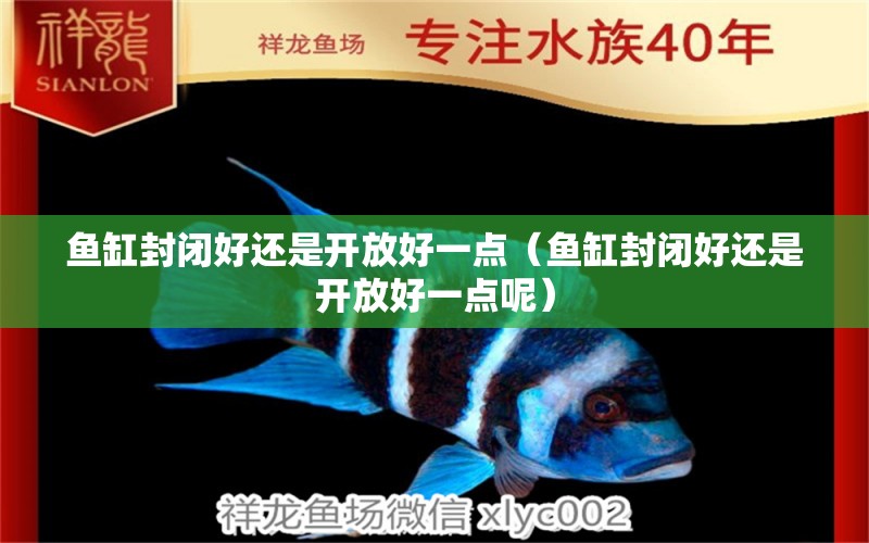 魚缸封閉好還是開(kāi)放好一點(diǎn)（魚缸封閉好還是開(kāi)放好一點(diǎn)呢）