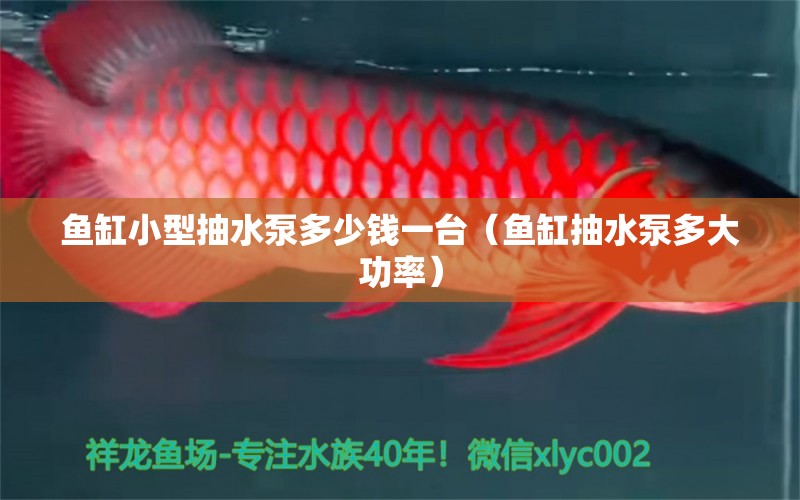 魚缸小型抽水泵多少錢一臺（魚缸抽水泵多大功率）