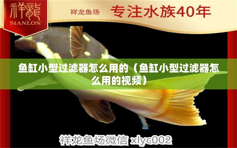 魚缸小型過濾器怎么用的（魚缸小型過濾器怎么用的視頻） 觀賞魚