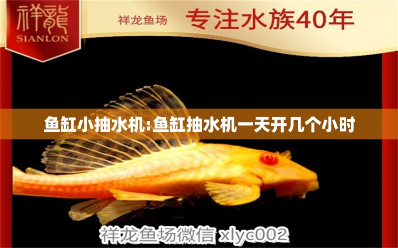 魚缸小抽水機(jī):魚缸抽水機(jī)一天開幾個小時 錦鯉池魚池建設(shè) 第1張