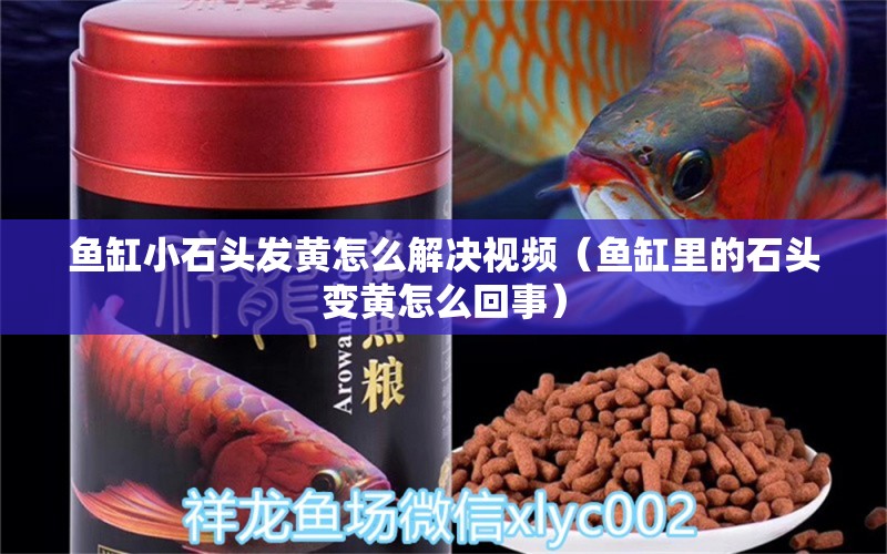 魚缸小石頭發(fā)黃怎么解決視頻（魚缸里的石頭變黃怎么回事）