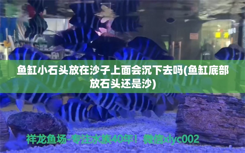 魚(yú)缸小石頭放在沙子上面會(huì)沉下去嗎(魚(yú)缸底部放石頭還是沙) 丹頂錦鯉魚(yú)