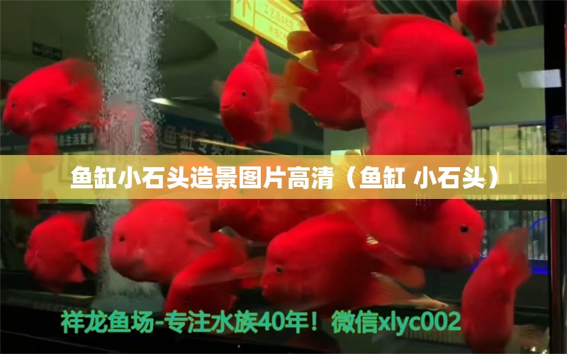 魚缸小石頭造景圖片高清（魚缸 小石頭） 觀賞魚百科