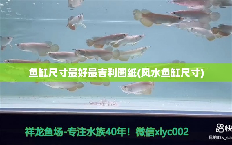 魚缸尺寸最好最吉利圖紙(風水魚缸尺寸)