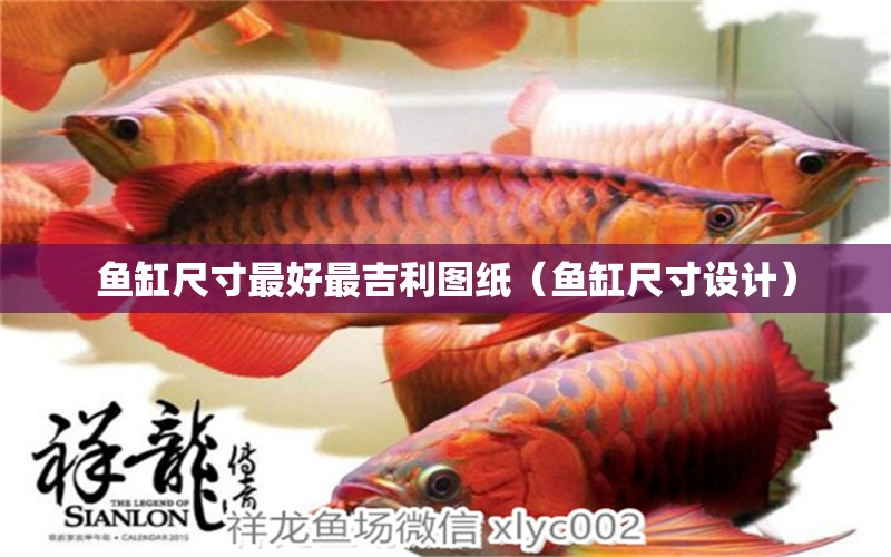 魚(yú)缸尺寸最好最吉利圖紙（魚(yú)缸尺寸設(shè)計(jì)）