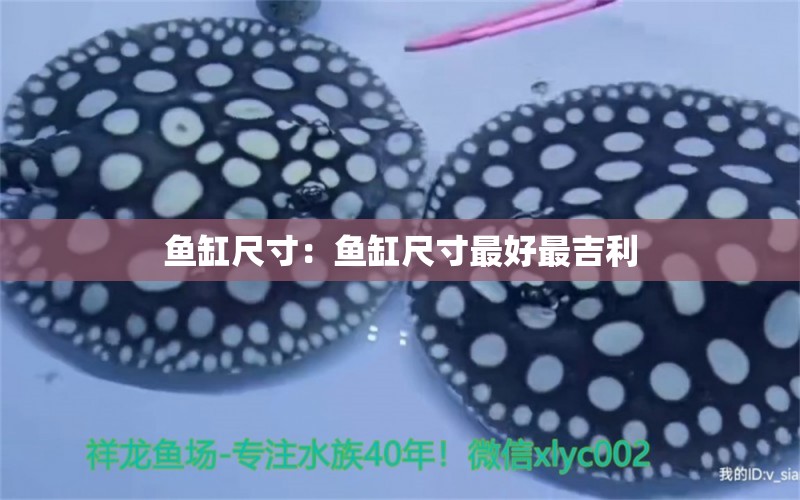 魚(yú)缸尺寸：魚(yú)缸尺寸最好最吉利