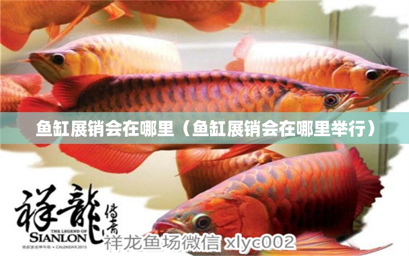 魚缸展銷會(huì)在哪里（魚缸展銷會(huì)在哪里舉行）