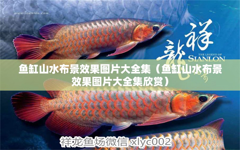 魚缸山水布景效果圖片大全集（魚缸山水布景效果圖片大全集欣賞） 祥龍魚場