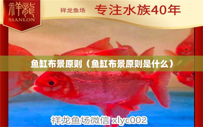 魚缸布景原則（魚缸布景原則是什么）