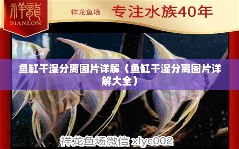 魚缸干濕分離圖片詳解（魚缸干濕分離圖片詳解大全）