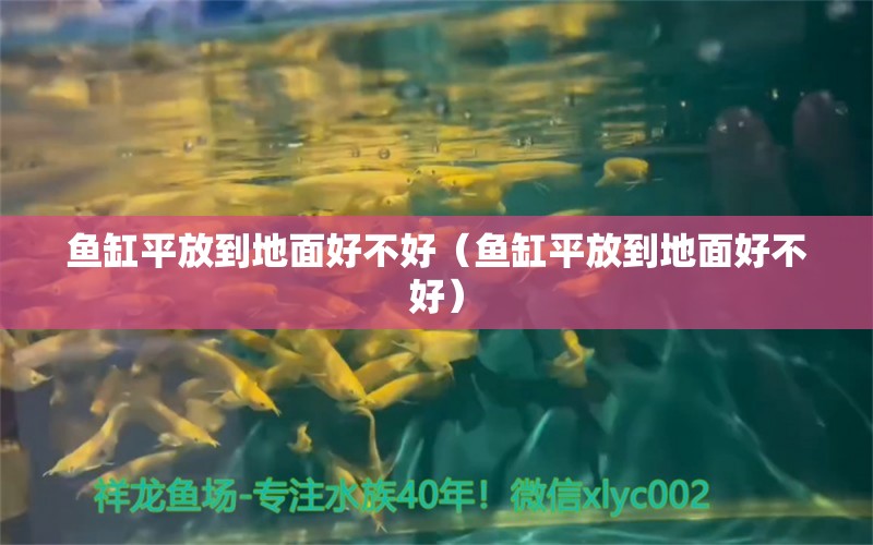 魚缸平放到地面好不好（魚缸平放到地面好不好）