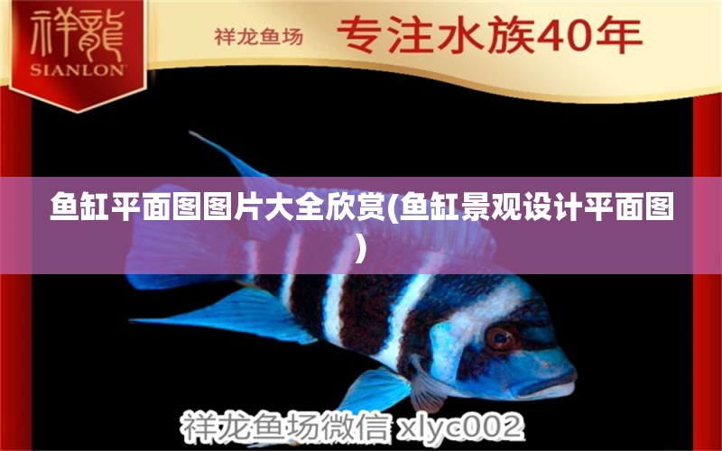 魚缸平面圖圖片大全欣賞(魚缸景觀設(shè)計平面圖) 廣州景觀設(shè)計 第1張