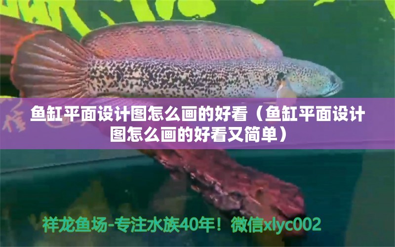 魚缸平面設(shè)計(jì)圖怎么畫的好看（魚缸平面設(shè)計(jì)圖怎么畫的好看又簡(jiǎn)單） 非洲金鼓魚